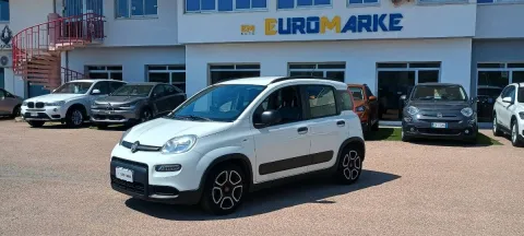 Fiat Panda 1.0 firefly hybrid City Life s&s 70cv 5p.ti - Immagine 2