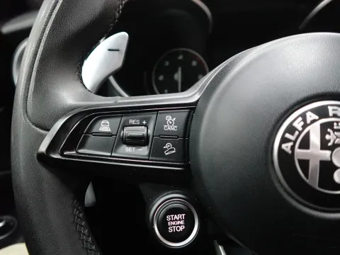 Alfa Romeo Stelvio 2.2 t Business Q4 190cv auto - Immagine 16