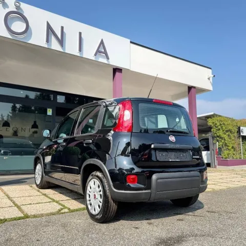 Fiat Panda 1.0 firefly hybrid s&s 70cv - Immagine 4