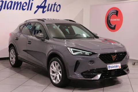 Cupra Formentor 2.0 tdi 4drive 150cv dsg - Immagine 7