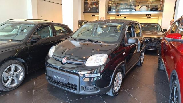 Fiat Panda III 1.0 firefly hybrid s&s 70cv 5p.ti - Immagine 1