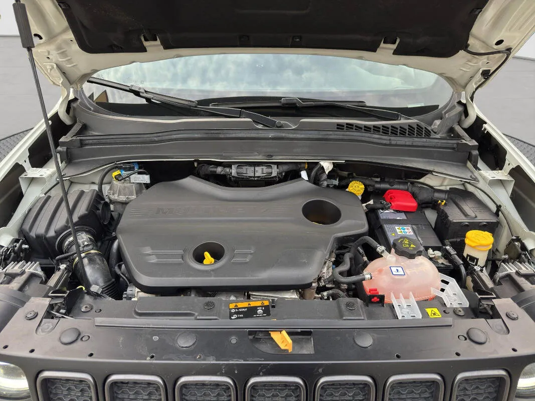 Insertion Image