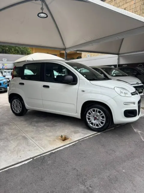 Fiat Panda 1.2 Easy s&s 69cv my19 - Immagine 3