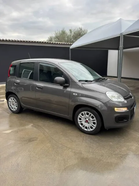Fiat Panda 1.0 firefly hybrid s&s 70cv - Immagine 3