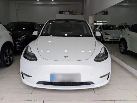 Tesla Model Y Long Range Dual Motor awd - Immagine 3