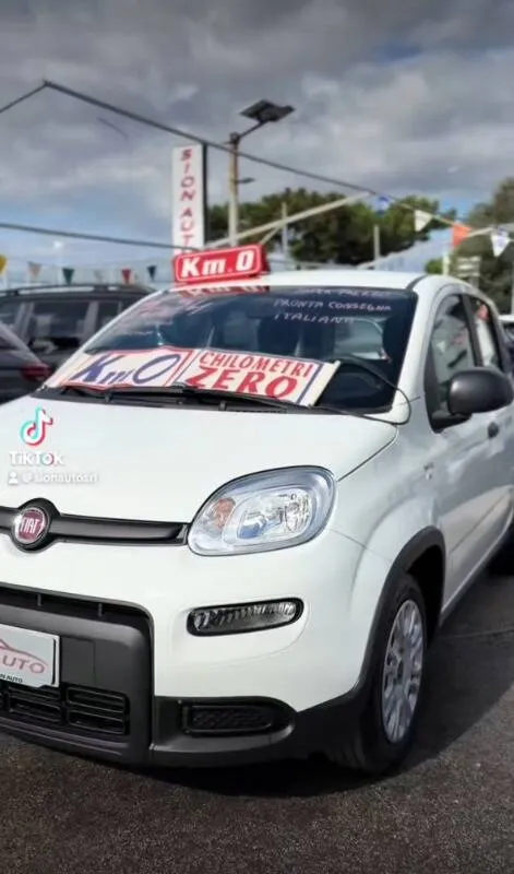 Fiat Panda 1.0 firefly hybrid s&s 70cv - Immagine 2
