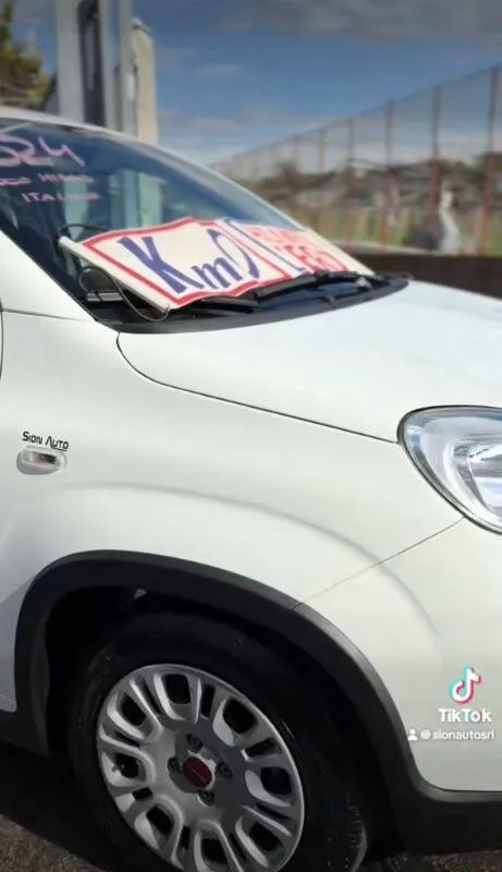 Fiat Panda 1.0 firefly hybrid s&s 70cv - Immagine 3