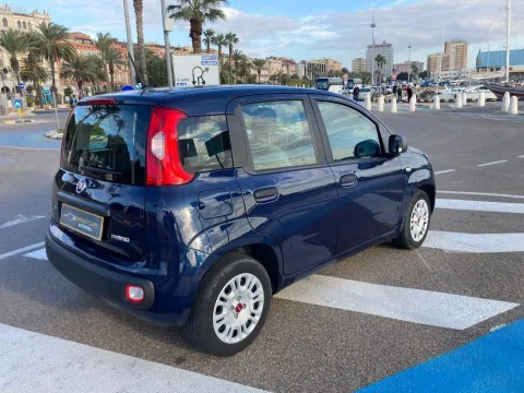 Fiat Panda 1.0 firefly hybrid s&s 70cv - Immagine 15