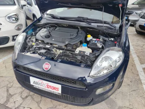 Fiat Punto 3p 1.3 mjt 16v Young 75cv - Immagine 15