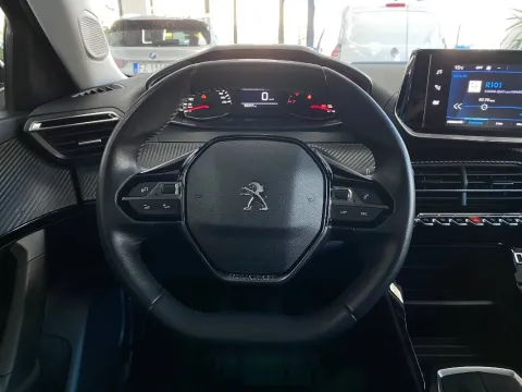 Peugeot 2008 1.5 bluehdi Active s&s 100cv - Immagine 14