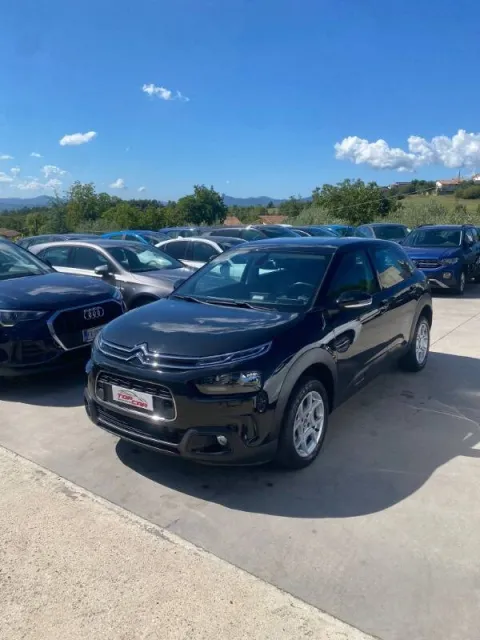 Citroen C4 Cactus 1.6 bluehdi Shine s&s 100cv - Immagine 1