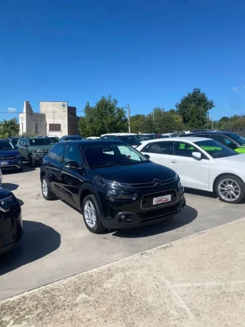 Citroen C4 Cactus 1.6 bluehdi Shine s&s 100cv - Immagine 3
