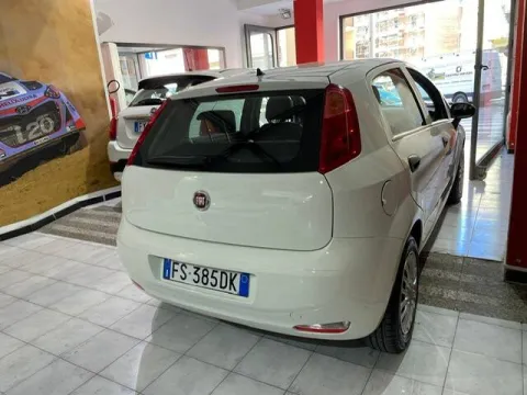 Fiat Punto 5p 1.3 mjt Street s&s 95cv - Immagine 5