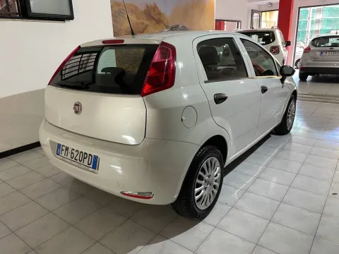 Fiat Punto 5p 1.2 Street E6 - Immagine 3