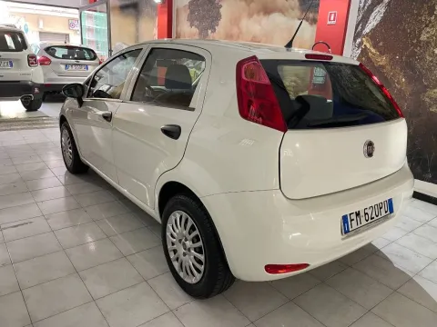 Fiat Punto 5p 1.2 Street E6 - Immagine 4