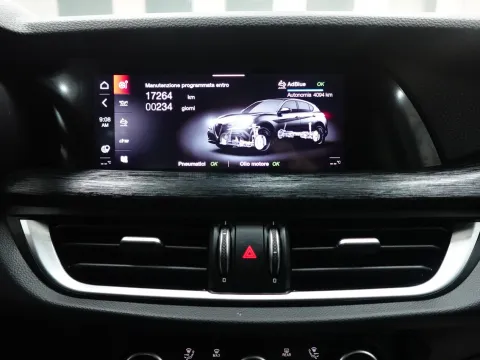 Alfa Romeo Stelvio 2.2 t Business Q4 190cv auto - Immagine 21