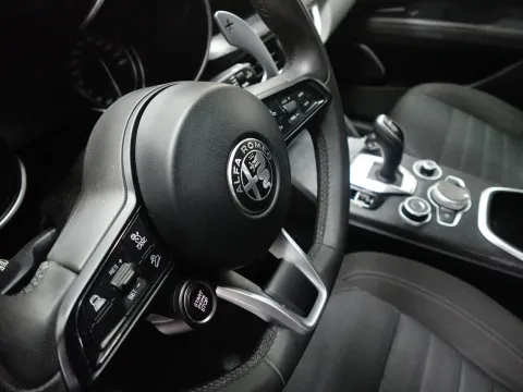 Alfa Romeo Stelvio 2.2 t Business Q4 190cv auto - Immagine 25
