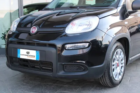 Fiat Panda 1.0 firefly hybrid s&s 70cv - Immagine 2