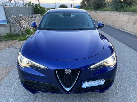 Alfa Romeo Stelvio 2.2 t Business Q4 190cv auto - Immagine 2