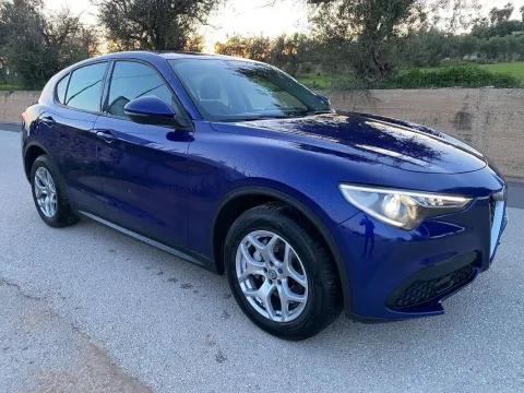 Alfa Romeo Stelvio 2.2 t Business Q4 190cv auto - Immagine 3