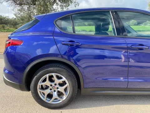 Alfa Romeo Stelvio 2.2 t Business Q4 190cv auto - Immagine 7