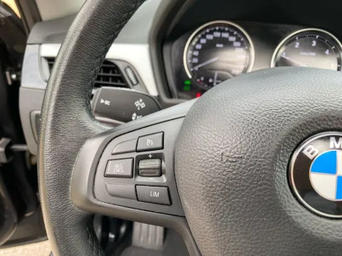 BMW X1 xdrive18d Business Advantage - Immagine 20