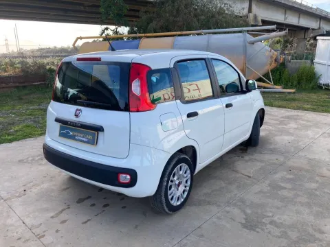 Fiat Panda 1.2 Pop s&s 69cv my19 - Immagine 6