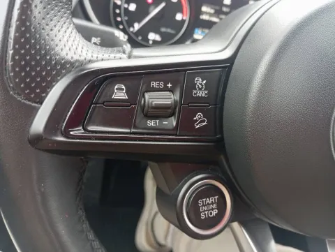 Alfa Romeo Stelvio 2.2 t Executive Q4 190cv auto - Immagine 31