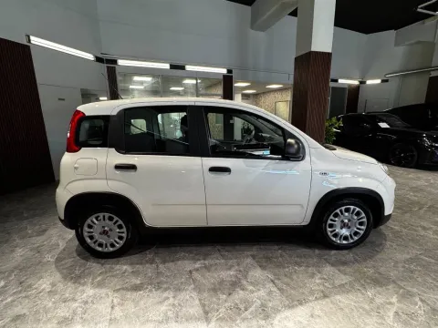 Fiat Panda 1.0 firefly hybrid s&s 70cv - Immagine 7