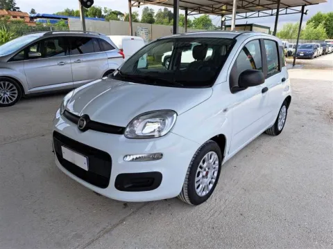 Fiat Panda 1.0 firefly hybrid s&s 70cv 5p.ti - Immagine 1