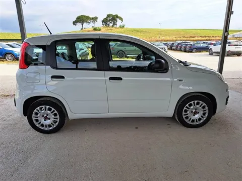 Fiat Panda 1.0 firefly hybrid s&s 70cv 5p.ti - Immagine 3