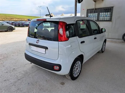 Fiat Panda 1.0 firefly hybrid s&s 70cv 5p.ti - Immagine 5