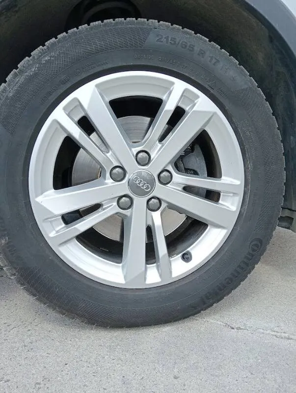 Insertion Image