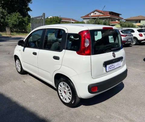 Fiat Panda 1.2 Easy easypower Gpl 69cv my19 - Immagine 3