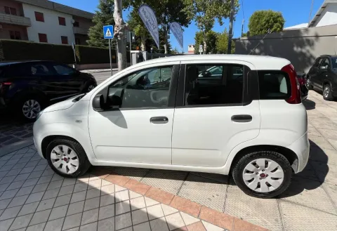 Fiat Panda 1.2 Easy 69cv E6 - Immagine 3