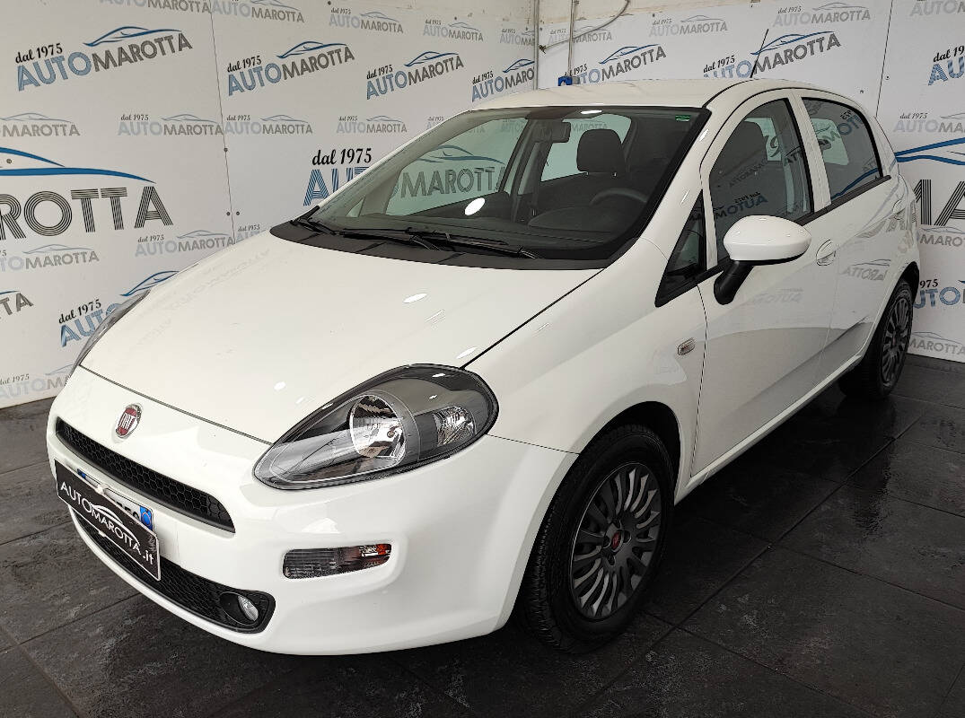 Fiat Punto 5p 1.3 mjt Street s&s 95cv - Immagine 1