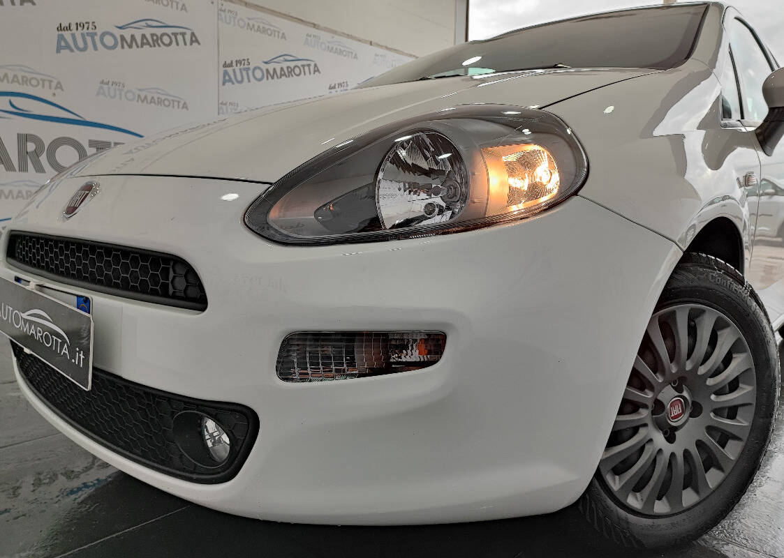 Fiat Punto 5p 1.3 mjt Street s&s 95cv - Immagine 2