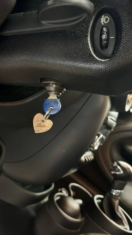 Mini Mini Countryman 2.0 Cooper D auto E6 - Immagine 16