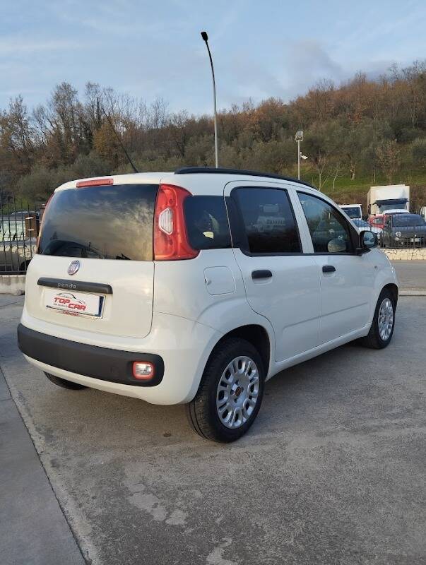 Fiat Panda 1.3 mjt 16v Easy s&s 80cv my19 - Immagine 6