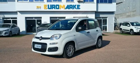 Fiat Panda 1.0 firefly hybrid City Life s&s 70cv 5p.ti - Immagine 1