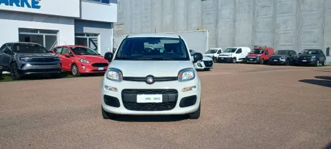 Fiat Panda 1.0 firefly hybrid City Life s&s 70cv 5p.ti - Immagine 2