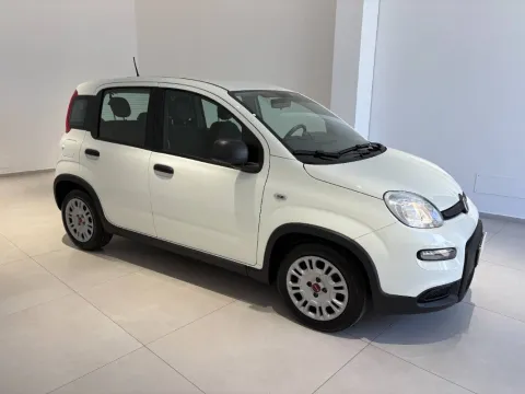 Fiat Panda 1.0 firefly hybrid s&s 70cv 5p.ti - Immagine 1