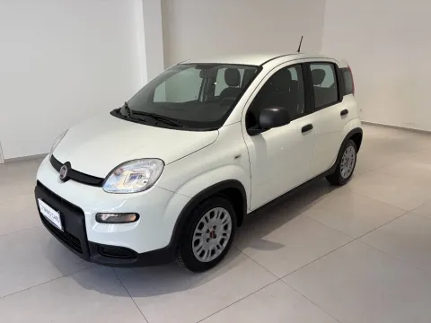 Fiat Panda 1.0 firefly hybrid s&s 70cv 5p.ti - Immagine 2