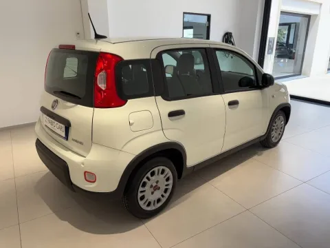 Fiat Panda 1.0 firefly hybrid s&s 70cv 5p.ti - Immagine 4