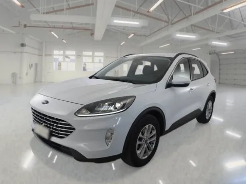 Ford Kuga 1.5 ecoblue Titanium Business 2wd 120cv auto - Immagine 1