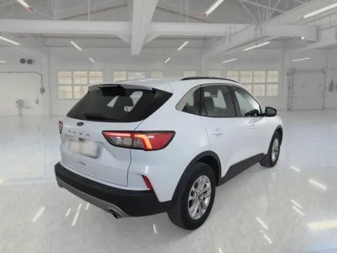 Ford Kuga 1.5 ecoblue Titanium Business 2wd 120cv auto - Immagine 3
