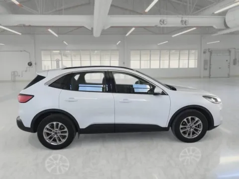 Ford Kuga 1.5 ecoblue Titanium Business 2wd 120cv auto - Immagine 5