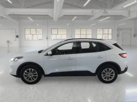 Ford Kuga 1.5 ecoblue Titanium Business 2wd 120cv auto - Immagine 6