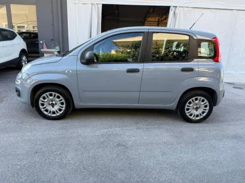 Fiat Panda 1.2 Pop s&s 69cv my19 - Immagine 2
