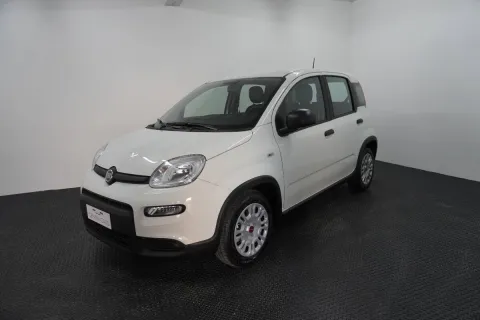 Fiat Panda 1.0 firefly hybrid s&s 70cv - Immagine 2